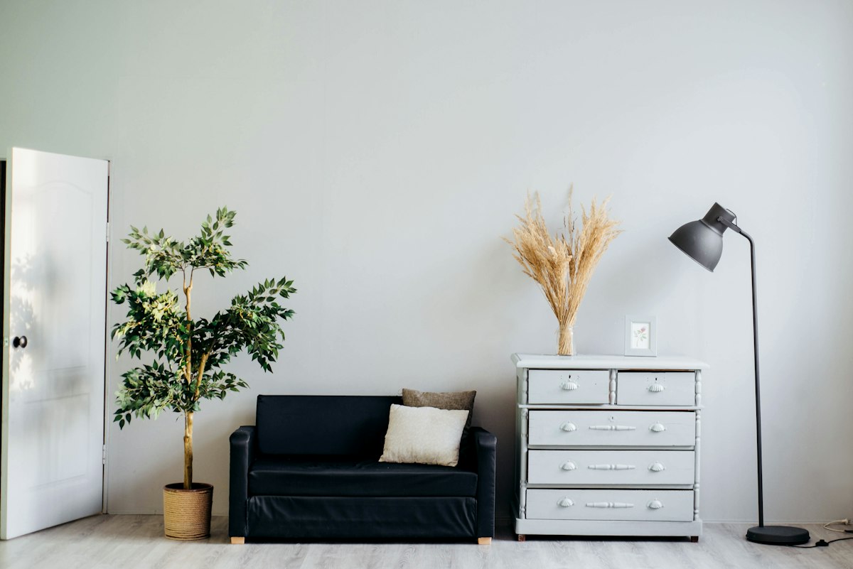 Minimal room with plant and dresser